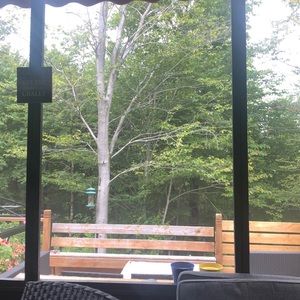 Meet your Posher, Carol